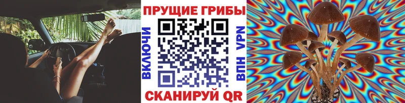гидра зеркало  Михайловск  маркетплейс клад  Псилоцибиновые грибы MAGIC MUSHROOMS 