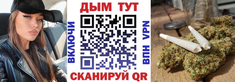 KRAKEN зеркало  где купить наркоту  Михайловск  Марихуана конопля 